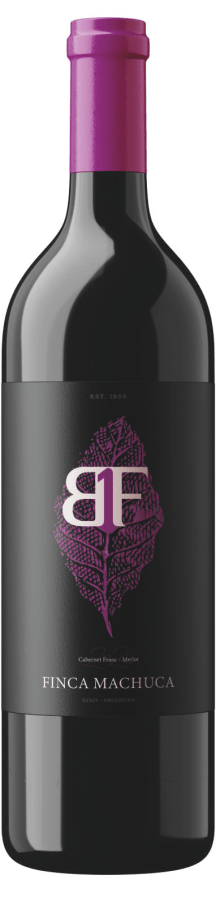 Vino Blend B1F , Finca Machuca