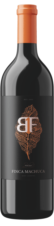 Pinot Noir de Finca Machuca